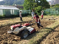 2015 paddy field taokoshi3.jpg(44239 byte)